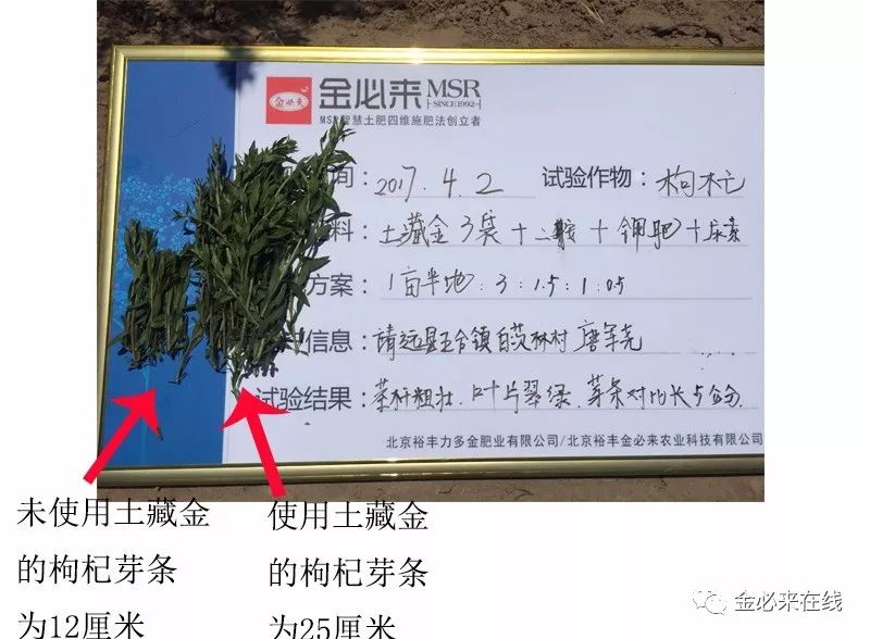 北京市裕丰金必来农业科技有限公司
